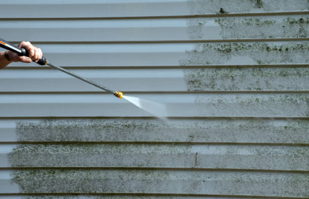 Best Roof Washing  in Castalia, OH